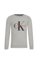 Суитчър/блуза | Regular Fit Calvin Klein Underwear сив
