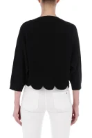 Пуловер | Regular Fit Elisabetta Franchi черен