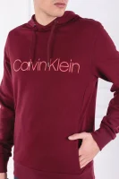 Суитчър/блуза | Regular Fit Calvin Klein бордо