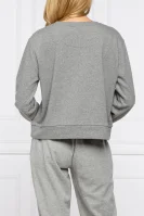 Суитчър/блуза | Regular Fit DKNY сив