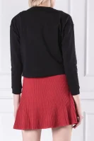 Суитчър/блуза | Regular Fit Elisabetta Franchi черен