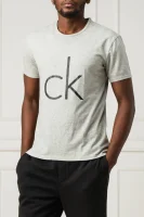 Тениска | Regular Fit Calvin Klein Underwear пепеляв