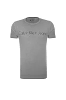 Raven T-shirt CALVIN KLEIN JEANS сив