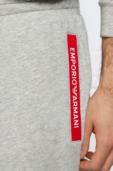 Спортен панталон | Regular Fit Emporio Armani сив