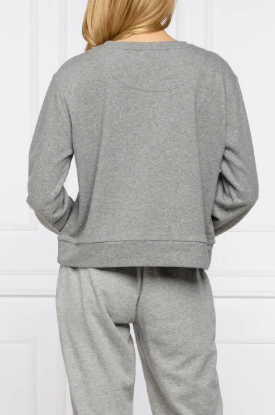 Суитчър/блуза | Regular Fit DKNY сив