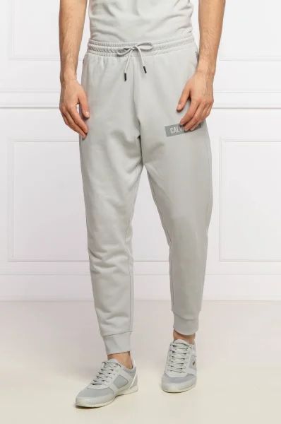 Спортен панталон | Regular Fit Calvin Klein Performance сив