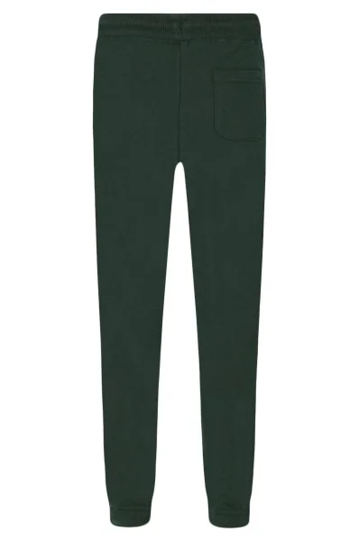 Спортен панталон THOMASE | Regular Fit Pepe Jeans London зелен
