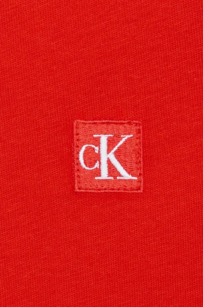 Тениска | Regular Fit CALVIN KLEIN JEANS червен