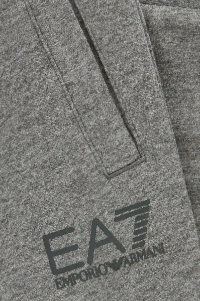 Спортен панталон | Relaxed fit EA7 сив