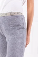 Спортен панталон | Regular Fit Emporio Armani пепеляв