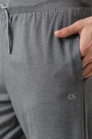 спортен панталон | relaxed fit Calvin Klein Performance сив