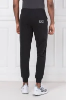 Спортен панталон | Regular Fit EA7 графитен