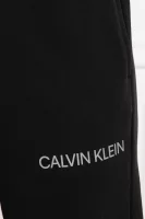 Спортен панталон | Regular Fit Calvin Klein Performance черен