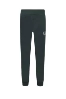 Спортен панталон | Regular Fit EA7 графитен