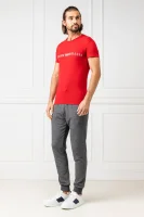 Спортен панталон | Regular Fit Emporio Armani графитен