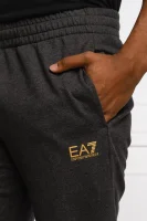 Спортен панталон | Regular Fit EA7 сив