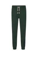 Спортен панталон THOMASE | Regular Fit Pepe Jeans London зелен