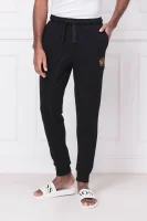 Спортен панталон | Regular Fit Emporio Armani черен