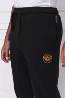 Спортен панталон | Regular Fit Emporio Armani черен