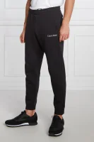 Спортен панталон | Regular Fit Calvin Klein Performance черен
