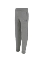 Спортен панталон | Relaxed fit EA7 сив